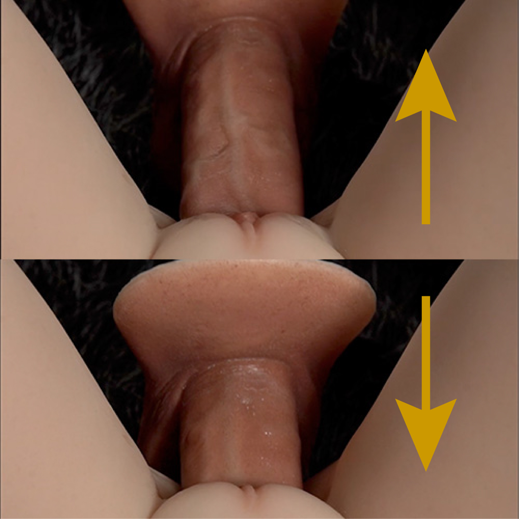 Vagina with suction [+€125]